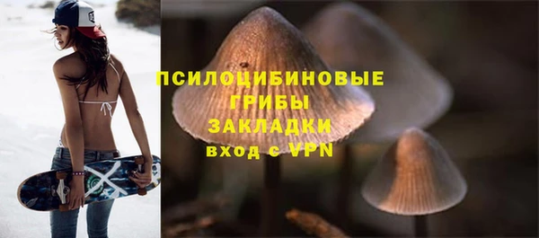 ALPHA PVP Ельня