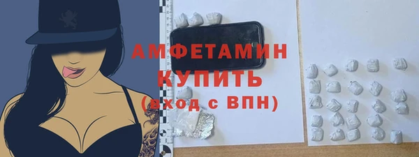ALPHA PVP Ельня
