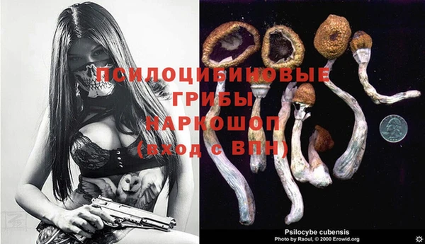 эйфоретик Елабуга
