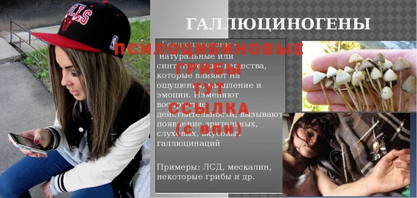 ALPHA PVP Ельня