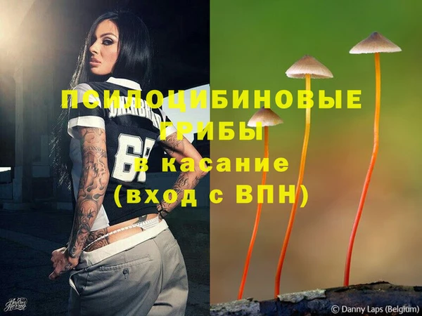 ALPHA PVP Ельня