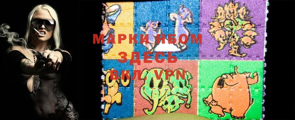 ALPHA PVP Ельня