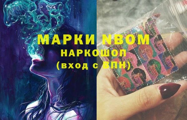 ALPHA PVP Ельня